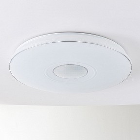 Накладной светильник Citilux Citilux Light белый арт. CL703M101