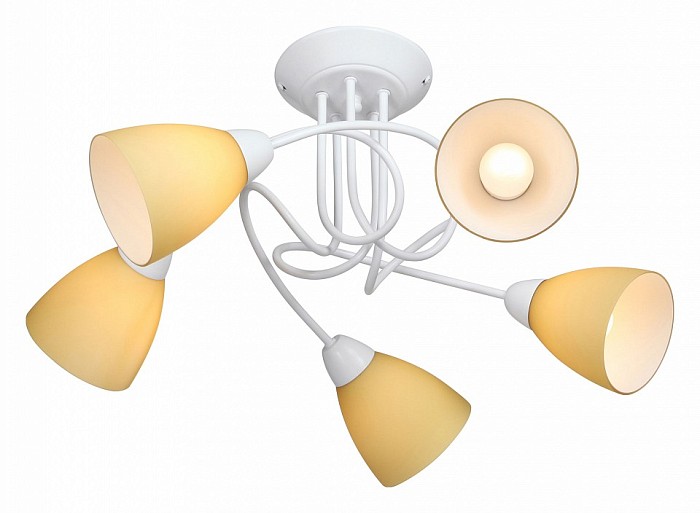 Потолочная люстра Vitaluce V3955 белый арт. V3955-0/5PL