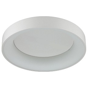 Накладной светильник Odeon Light Sole белый арт. 4066/40CL