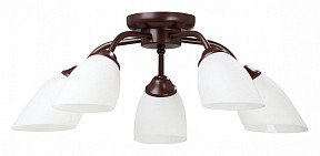 Потолочная люстра Vitaluce V3252 черный арт. V3252/5PL