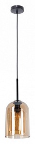 Подвесной светильник Arte Lamp Paio черный арт. A7015SP-1BK