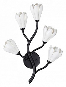 Бра Odeon Light Gardi черный арт. 5090/5W