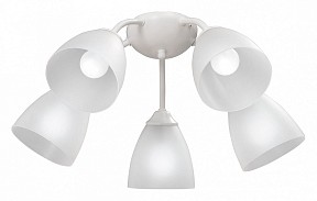 Потолочная люстра Vitaluce V3737 белый арт. V3737-0/5PL