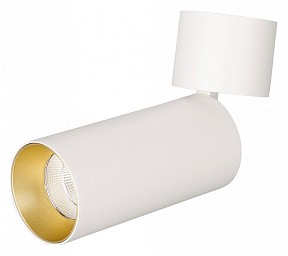 Светильник на штанге Arlight POLO белый арт. 022645(1)