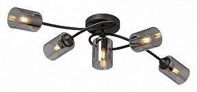 Потолочная люстра Vitaluce V2048 черный арт. V2048-1/5PL