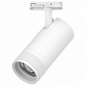 Светильник на штанге Lightstar Canno Pro белый арт. C4306SS