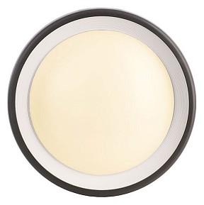 Накладной светильник Deko-Light Canis  арт. 731043