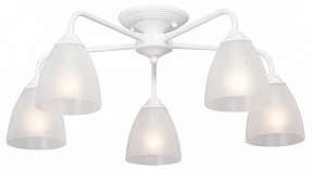Потолочная люстра Vitaluce  белый арт. V3946-0/5PL