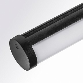Светильник на штанге Lightstar Teta черный арт. 205607