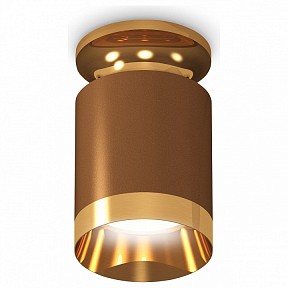 Накладной светильник Ambrella Light XS золото арт. XS6304130