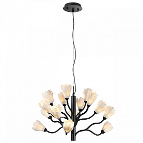 Подвесная люстра Odeon Light Gardi черный арт. 5090/15