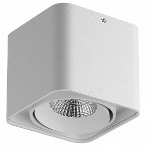 Накладной светильник Lightstar Monocco белый арт. 052316-IP65
