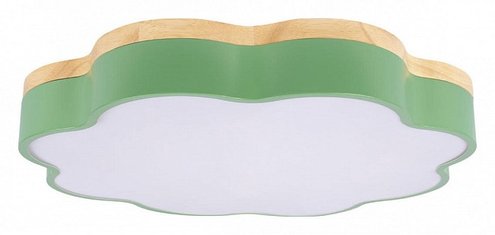 Накладной светильник Loft it Axel зеленый арт. 10225/36 Green