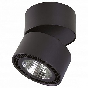 Светильник на штанге Lightstar Forte Muro черный арт. 214837