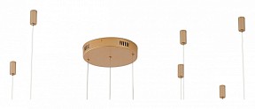 Подвесной светильник Zortes Ringolight золото арт. ZRS.33325.75F
