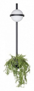 Бра Loft it Jardin черный арт. 10121W/B