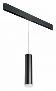 Подвесной светильник Lightstar Rullo черный арт. PRORP49730