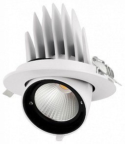 Встраиваемый светильник Jazzway  белый арт. PLED DL4 30W 4000K 24° White  IP40