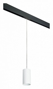 Подвесной светильник Lightstar Rullo черный арт. PRORP6486