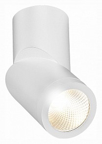 Светильник на штанге ST-Luce ST650 белый арт. ST650.532.10