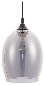 Подвесной светильник Arte Lamp Propus черный арт. A4344SP-1BK