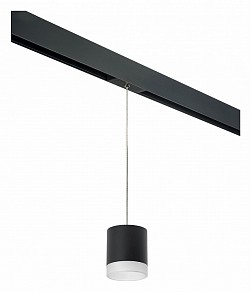 Подвесной светильник Lightstar Rullo черный арт. PRORP348780