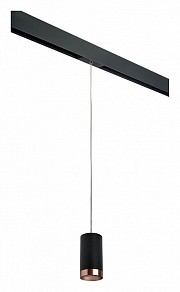 Подвесной светильник Lightstar Rullo черный арт. PRORP437430