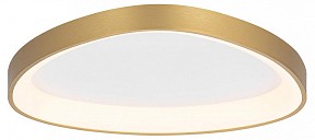 Накладной светильник Citilux GENKA SMART золото арт. CL756A142