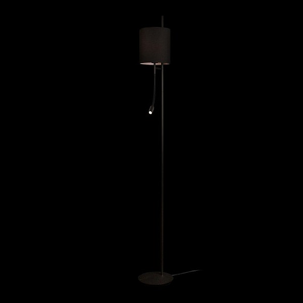 Торшер с подсветкой Loft it Ritz черный арт. 10253F/B Black