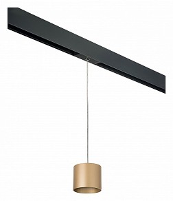 Подвесной светильник Lightstar Rullo черный арт. PRORP3490