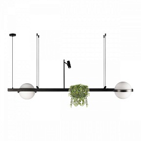 Подвесной светильник Loft it Jardin черный арт. 10121/D