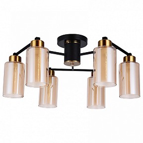 Потолочная люстра Arte Lamp Leo черный арт. A7027PL-6BK