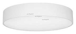 Накладной светильник Arlight SP-TOR-PILL-R600-50W Day4000 (WH, 120 deg) белый арт. 022130(1)