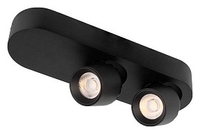 Накладной светильник Loft it Quiet черный арт. 10320/2 Black
