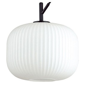 Подвесной светильник Odeon Light Roofi черный арт. 4753/1