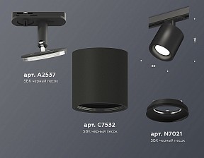 Светильник на штанге Ambrella Light XT черный арт. XT7532001