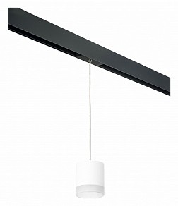 Подвесной светильник Lightstar Rullo черный арт. PRORP348680