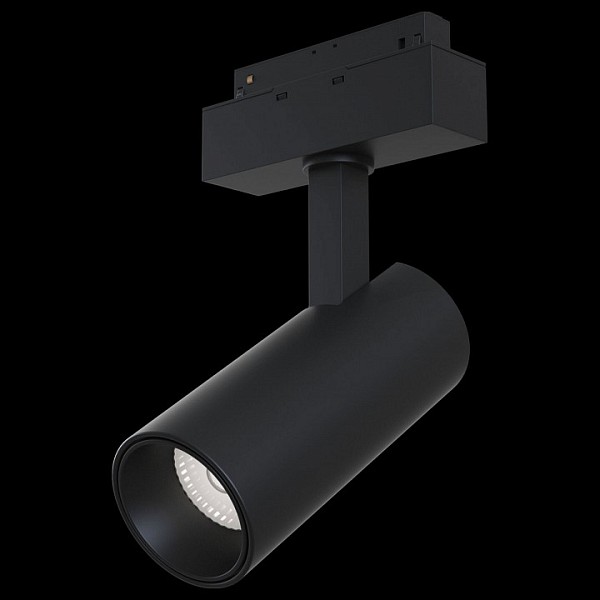Светильник на штанге Maytoni Track lamps черный арт. TR019-2-15W3K-B