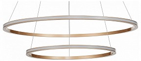 Подвесной светильник ST-Luce ST604 OUT золото арт. ST604.243.56