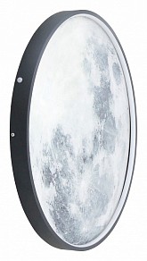 Накладной светильник Lightstar Emisfero черный арт. 737637
