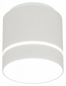 Накладной светильник Citilux Борн белый арт. CL745020N