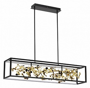 Светильник на штанге Odeon Light Bild черный арт. 5065/65L