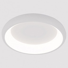 Накладной светильник Arte Lamp None белый арт. A2694PL-45WH