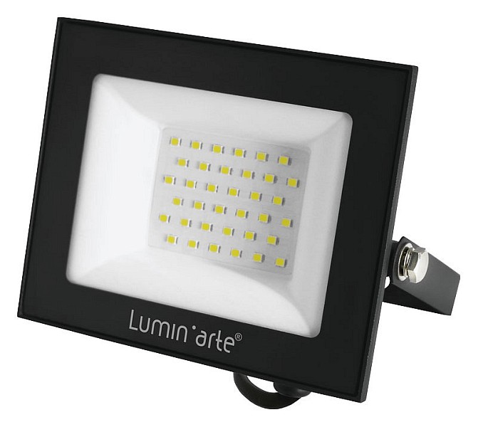 Прожектор Luminarte LFL-50W серый арт. LFL-50W/06