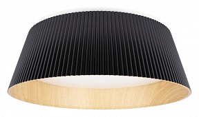 Накладной светильник Loft it Evans черный арт. 10224 Black