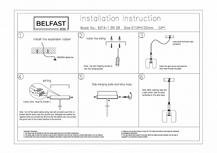 Подвесной светильник Belfast Pansy латунь арт. 6214-1 BR GR