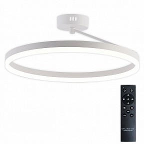Светильник на штанге Natali Kovaltseva FINAM  арт. LED LAMPS 81121/1C