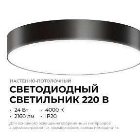 Накладной светильник Apeyron Electrics  черный арт. 18-161