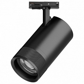 Светильник на штанге Lightstar Canno Pro черный арт. C4407SS