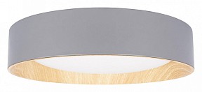 Накладной светильник Loft it Coin серый арт. 10202 Grey